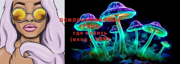 мдма Ладушкин