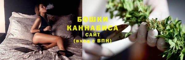 ECSTASY Лагань