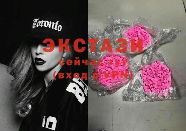 ECSTASY Лагань