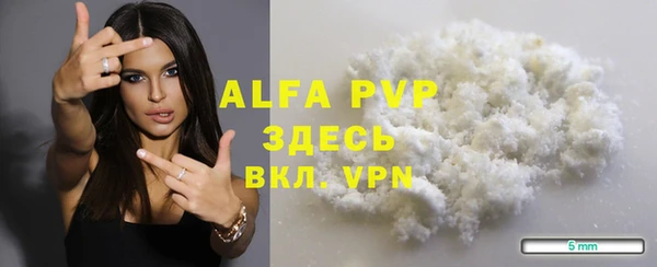 ECSTASY Лагань