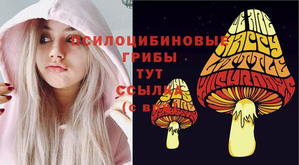 ешки Братск