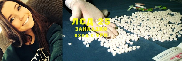ECSTASY Лагань