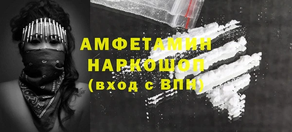 ECSTASY Лагань