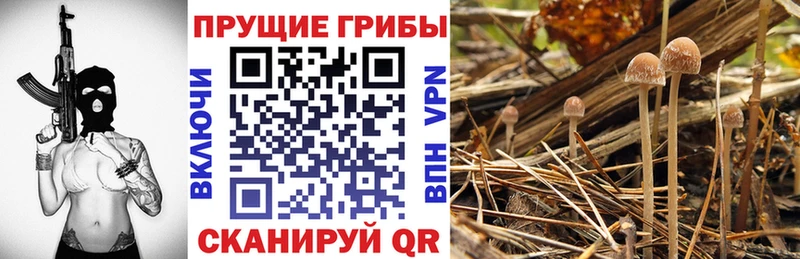 Галлюциногенные грибы ЛСД  Фатеж 