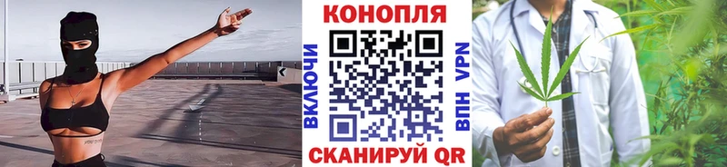 цена   Фатеж  Бошки марихуана гибрид 